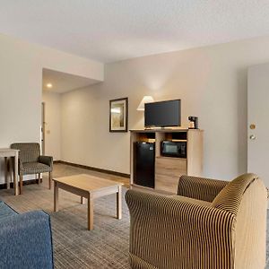 Quality Inn & Suites Nrg Park - Medical Center